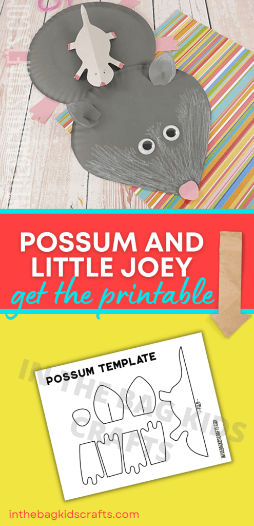 Paper Plate Possum Craft 