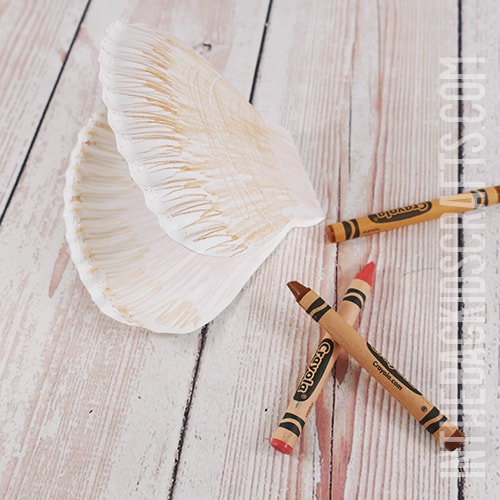 SHELL CRAFT FOR KIDS STEP 2