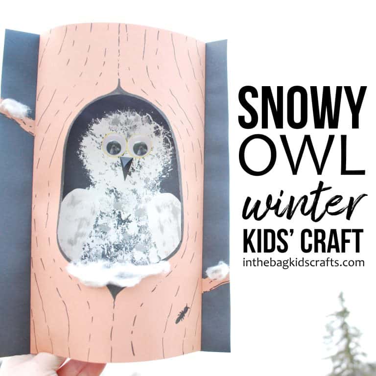 Snowy Owl Craft for Kids