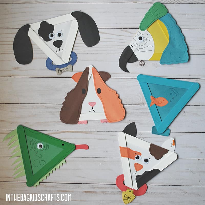PET CRAFTS FOR KIDS