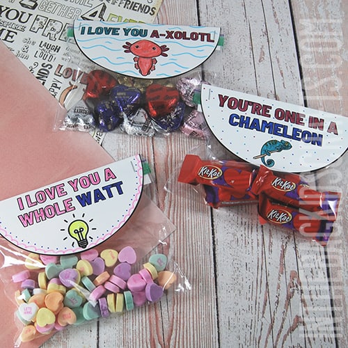 Valentine treat bags