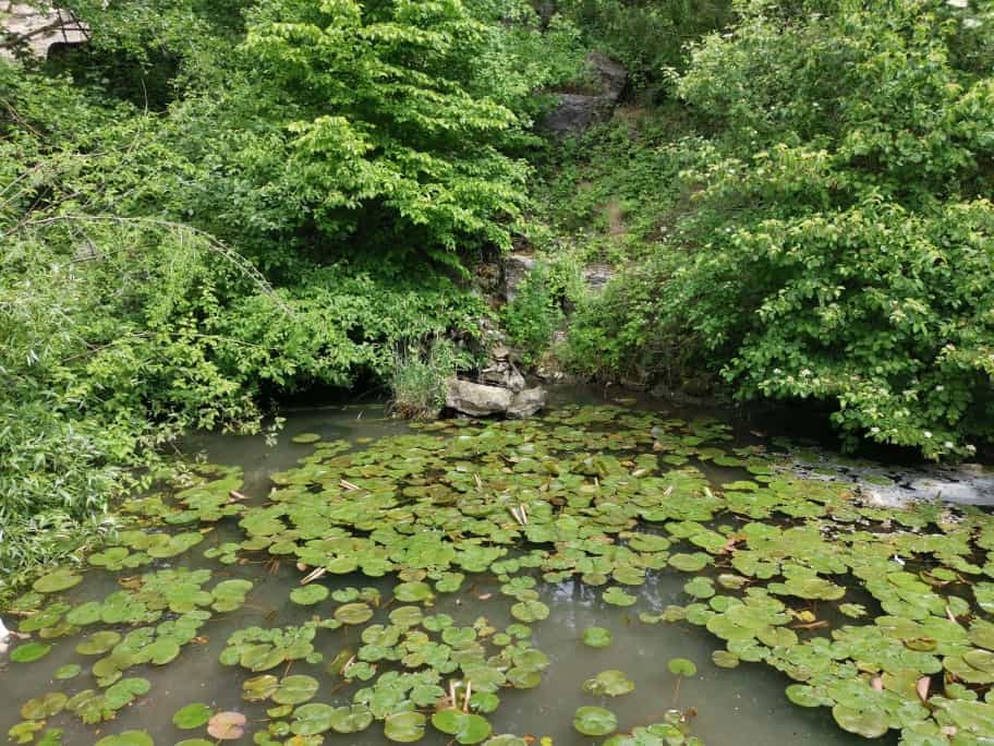 Wildpark Bad Mergentheim
