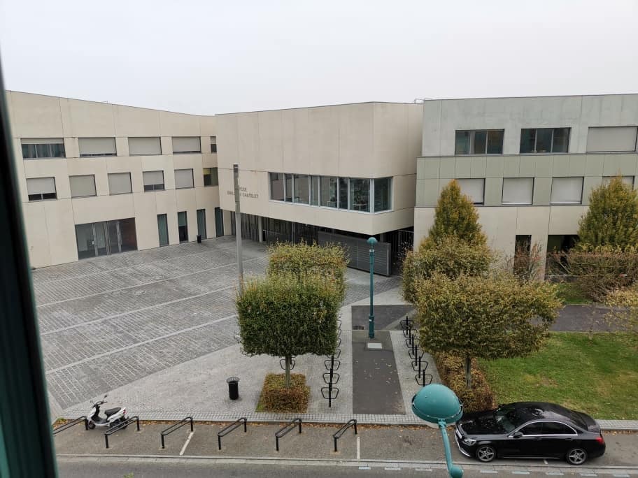 Disneyland Hotel mit Hund