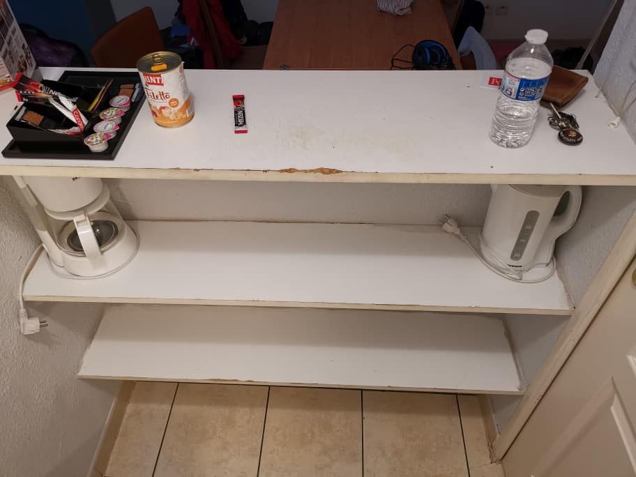 Disneyland Hotel mit Hund