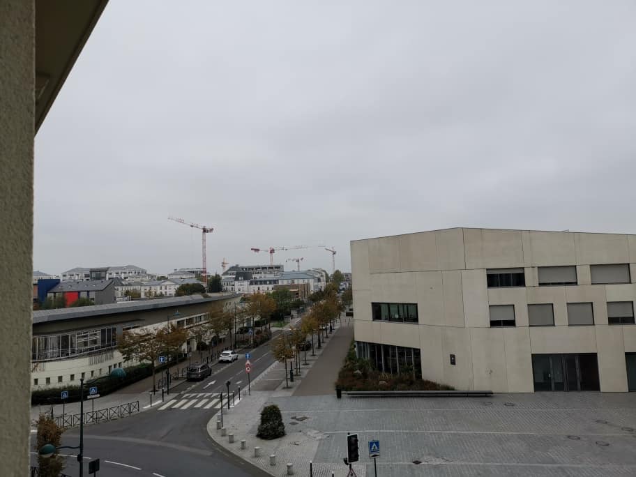 Disneyland Hotel mit Hund