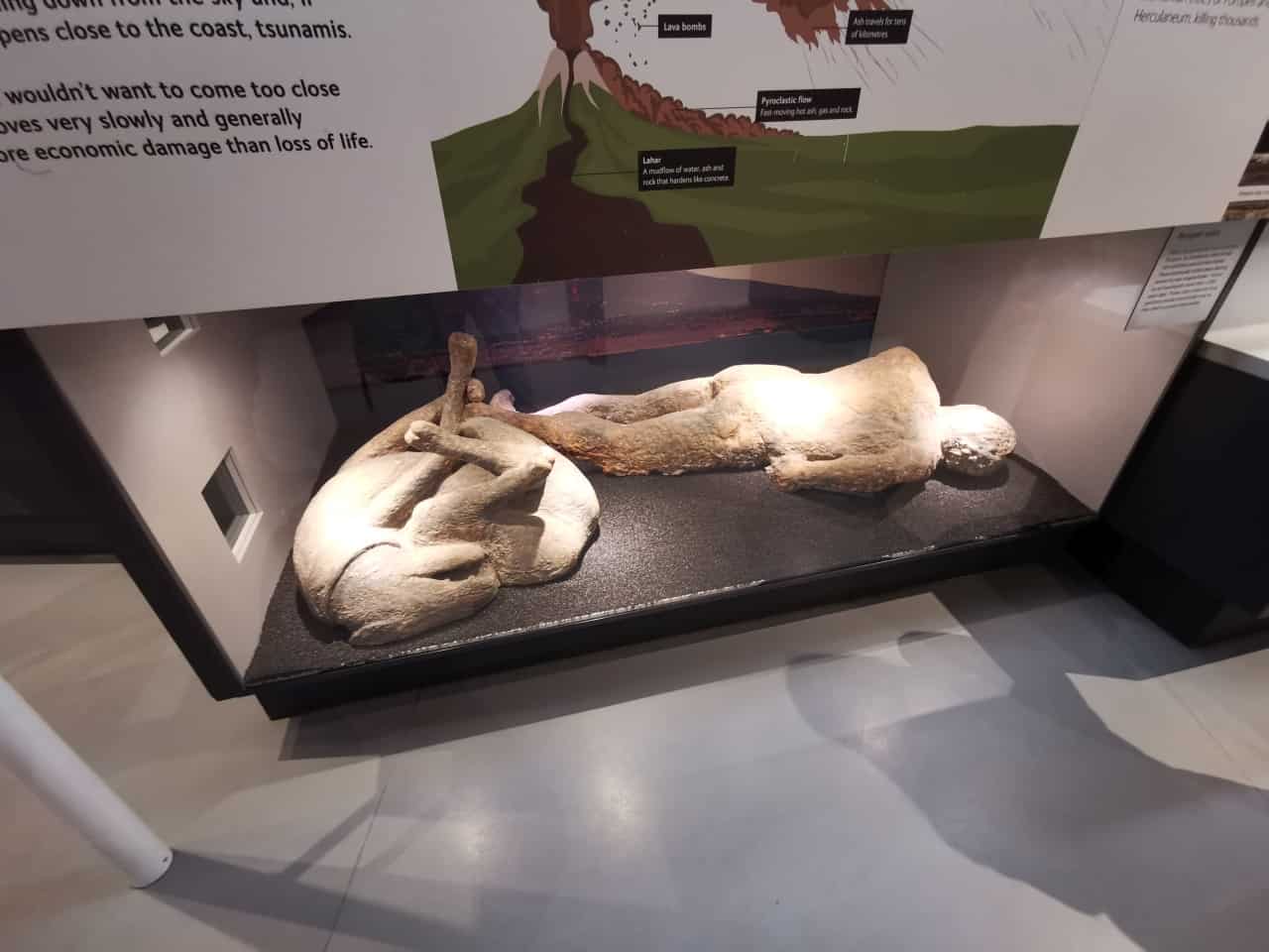 Natural History Museum London