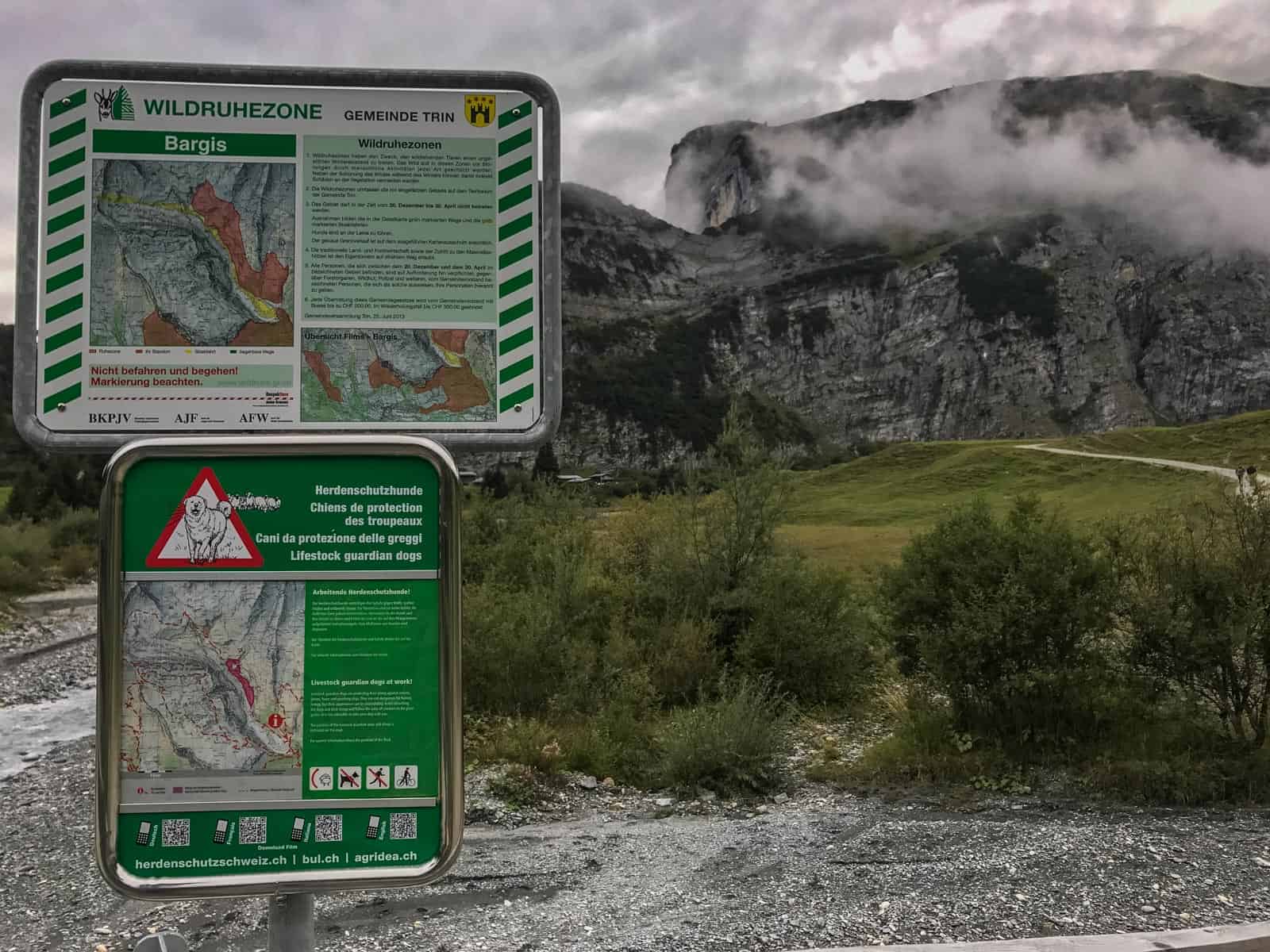 Sheep Herd Management 0215.jpg - European Wilderness Society  - CC NonCommercial-NoDerivates 4.0 International