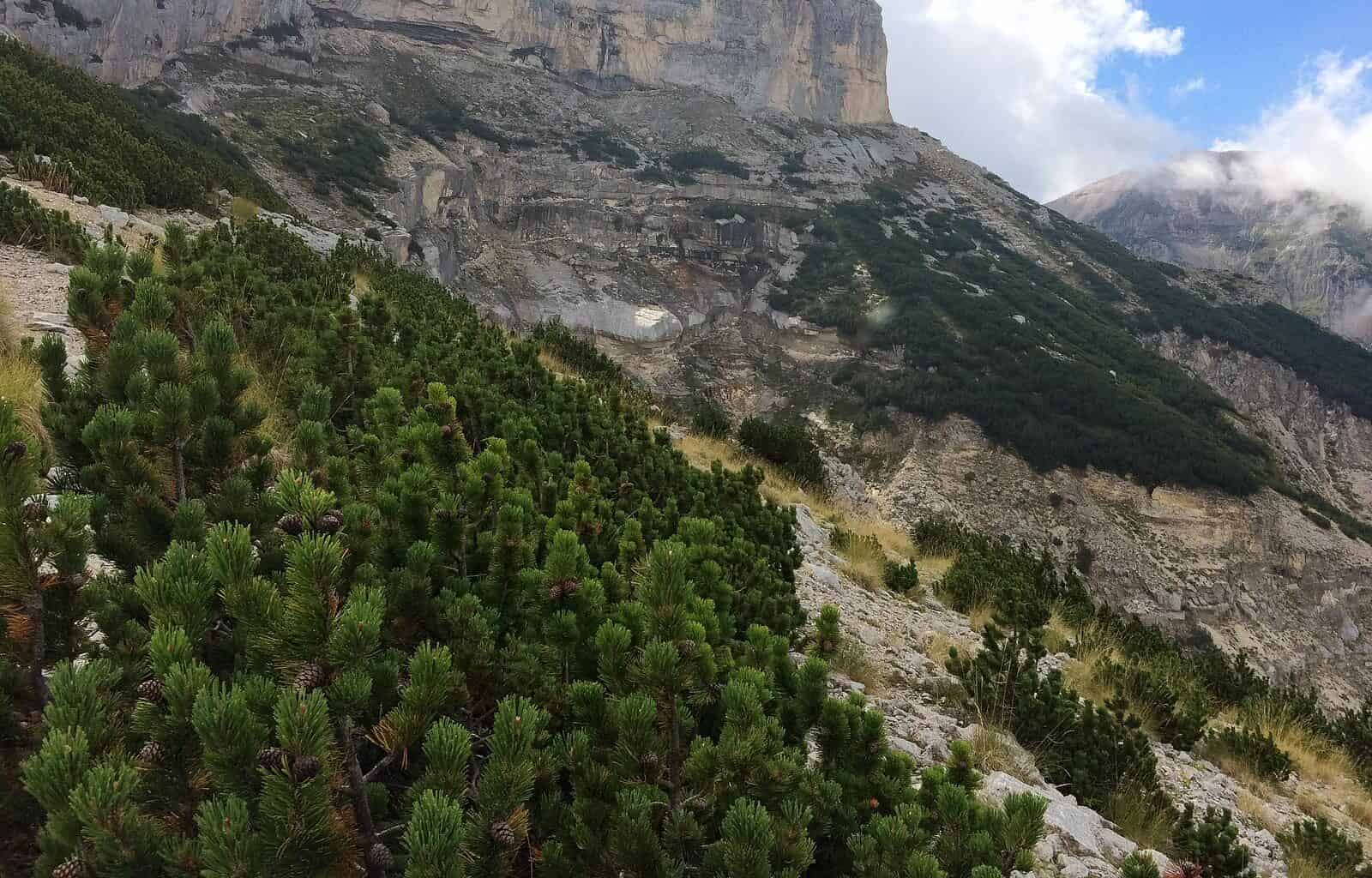 Majella Wilderness Audit 2018-21563.jpg - European Wilderness Society  - CC NonCommercial-NoDerivates 4.0 International