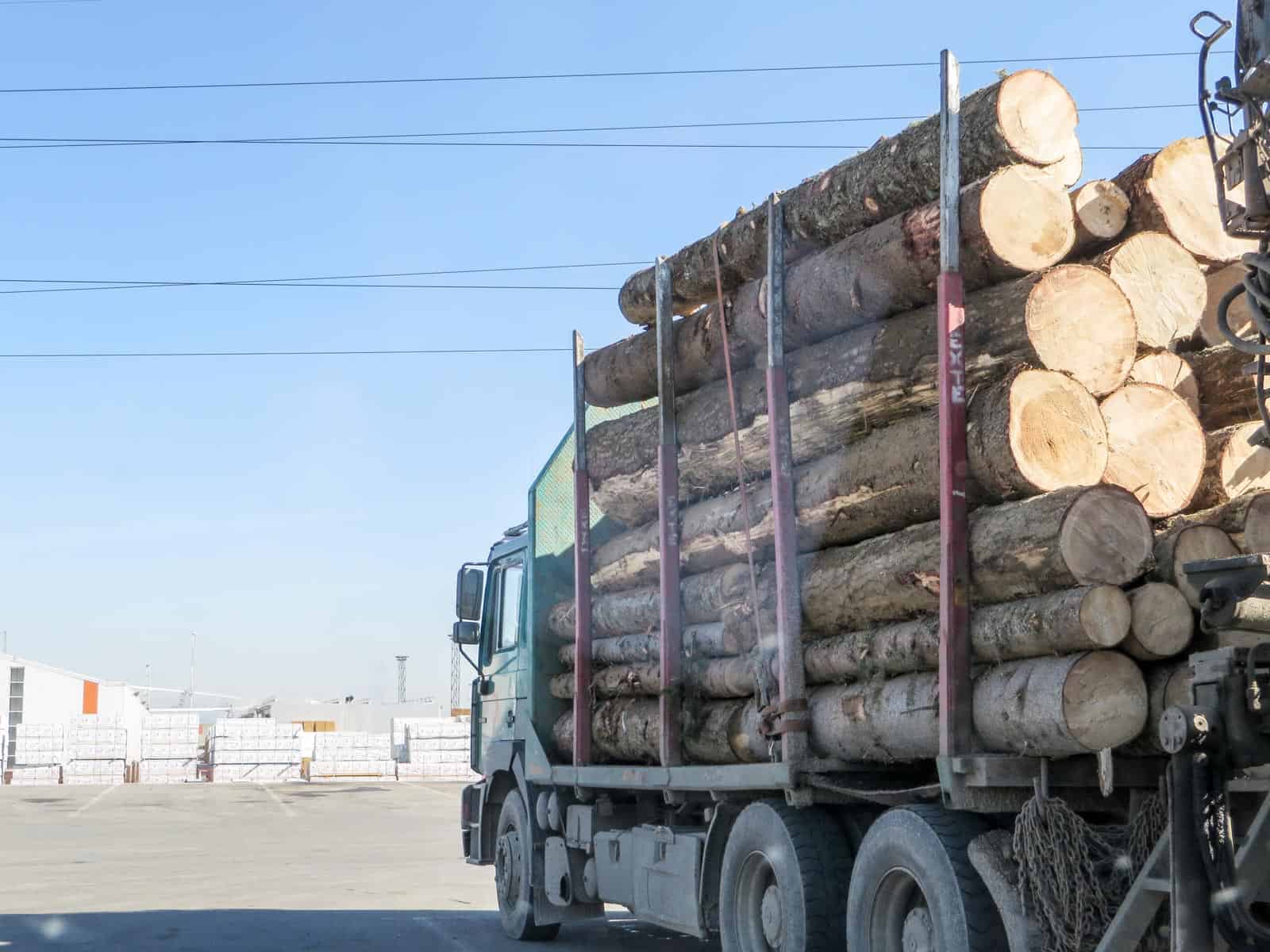 Deforestation Romania Hannes Knapp 0011.JPG - European Wilderness Society  - CC NonCommercial-NoDerivates 4.0 International