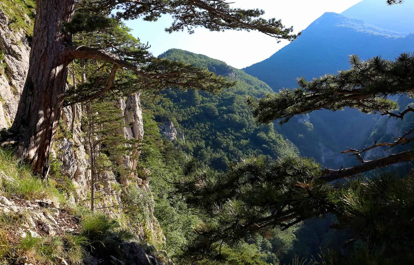 Majella Wilderness Audit 2018-20660.JPG - European Wilderness Society - CC NonCommercial-NoDerivates 4.0 International