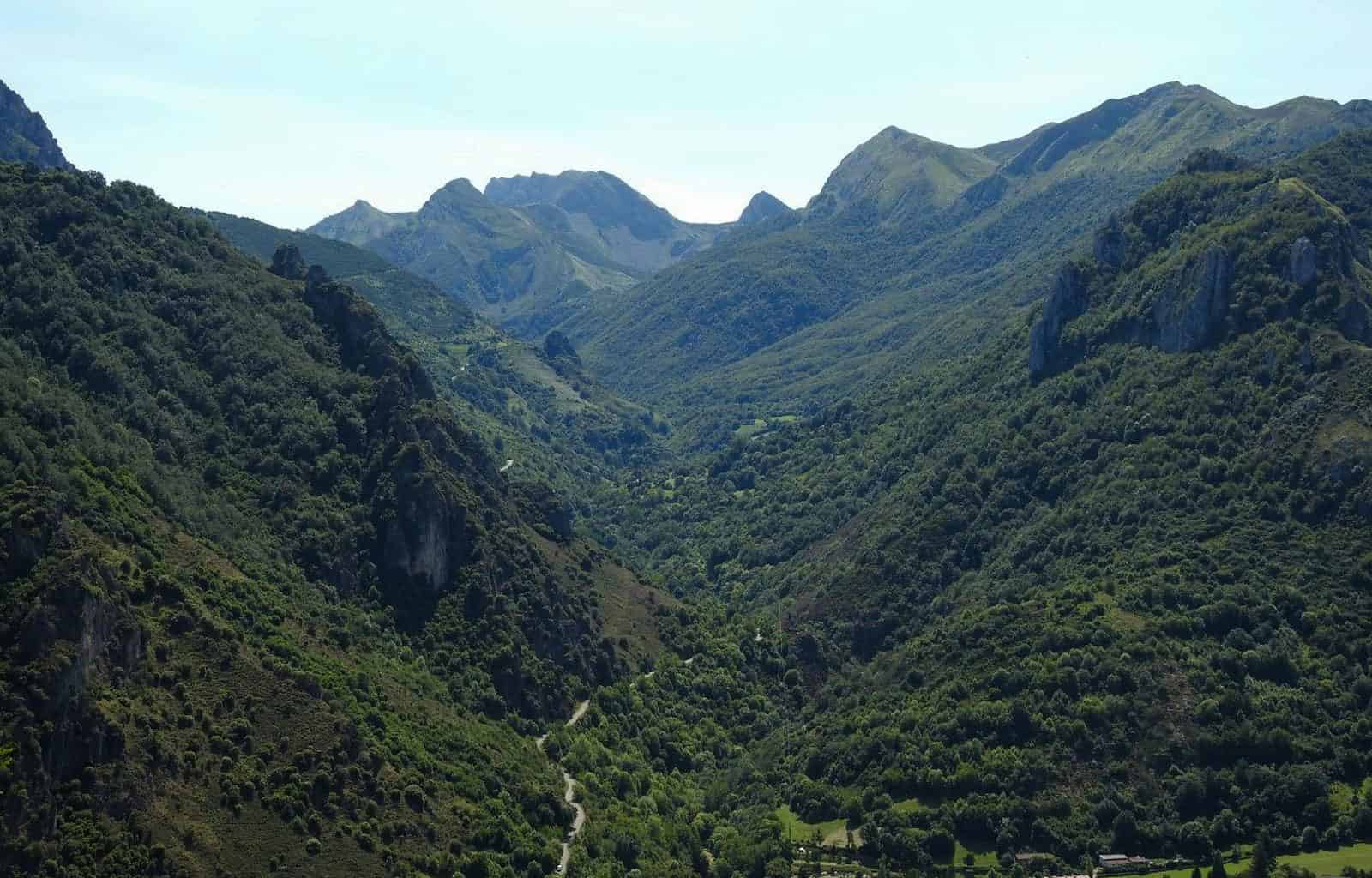 Wolves in Asturias-30888.jpg