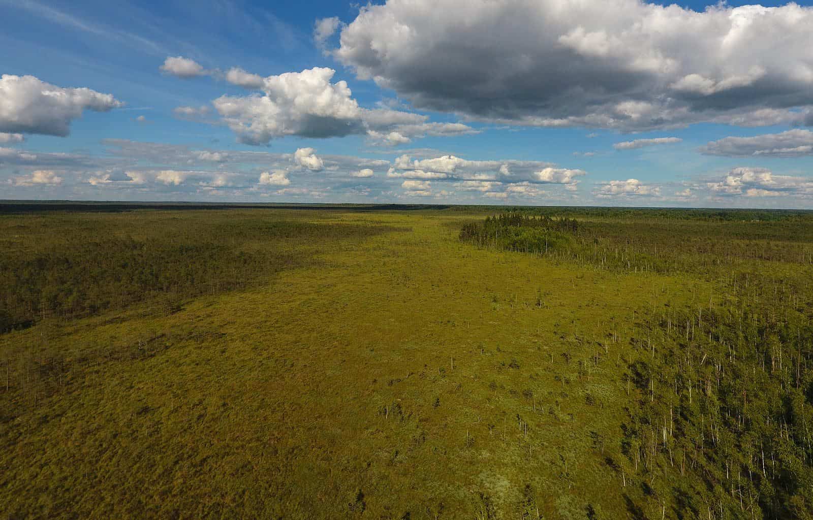 Teiču Wilderness - © All rights reserved