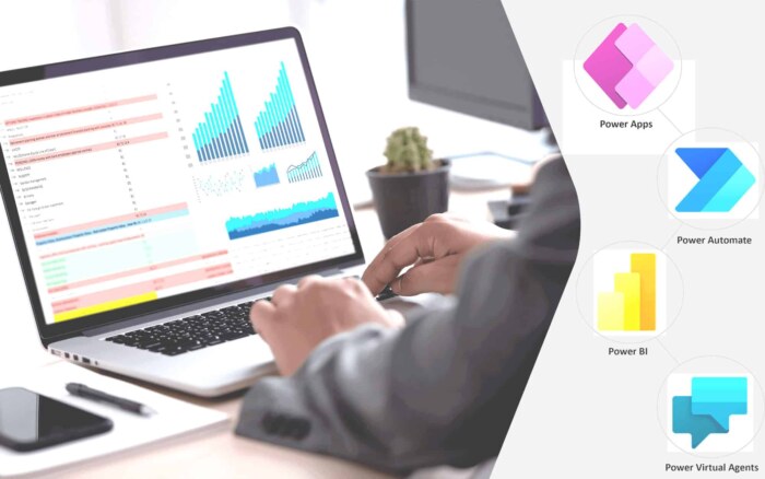 Business professional working on Power Platform development with analytics charts on laptop.