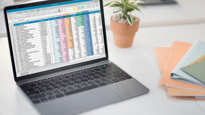 Excel spreadsheet displayed on a laptop screen for web application transition.