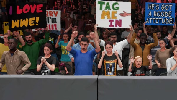 wwe crowd