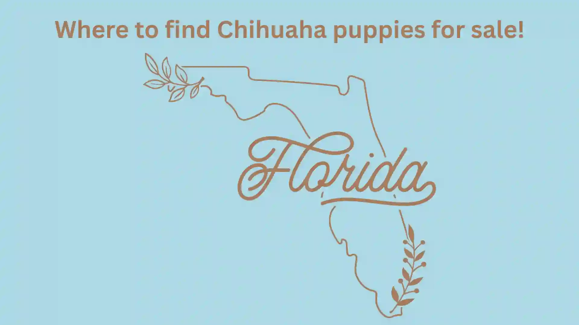 Florida Map