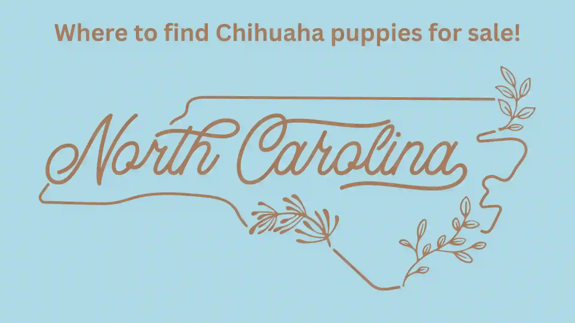 North Carolina Map