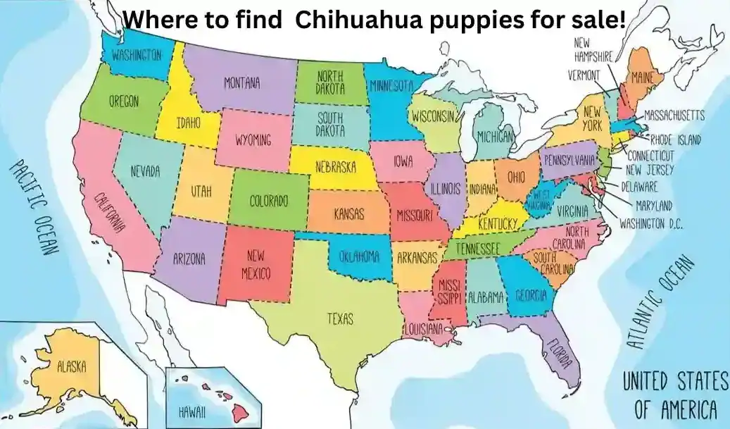 US Map