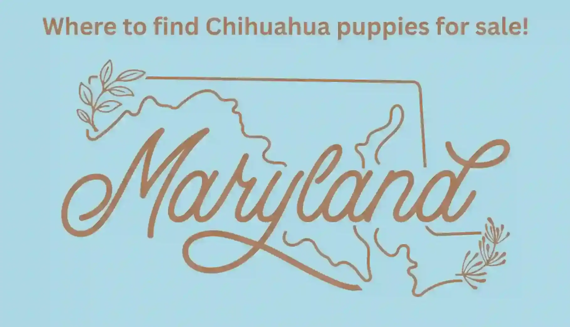 Maryland Map