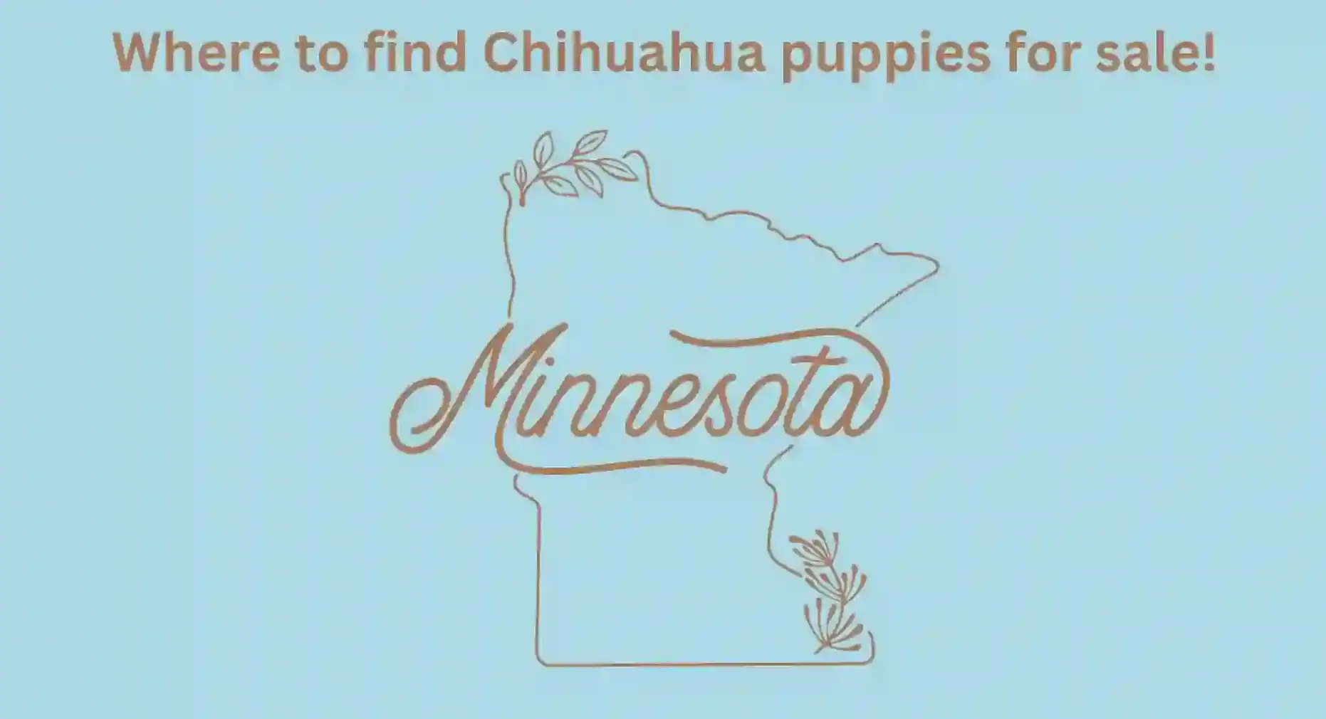 Minnesota Map