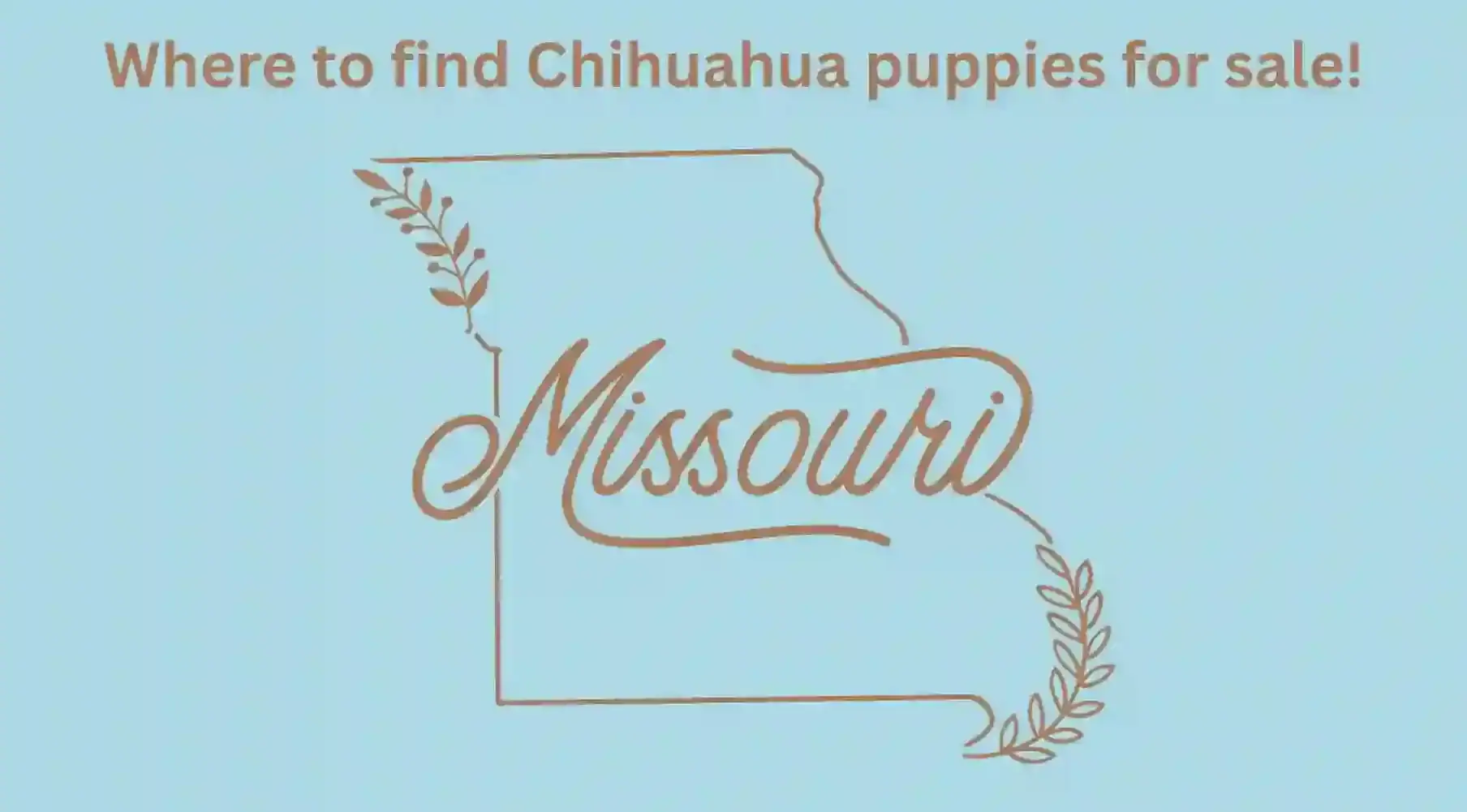 Missouri Map