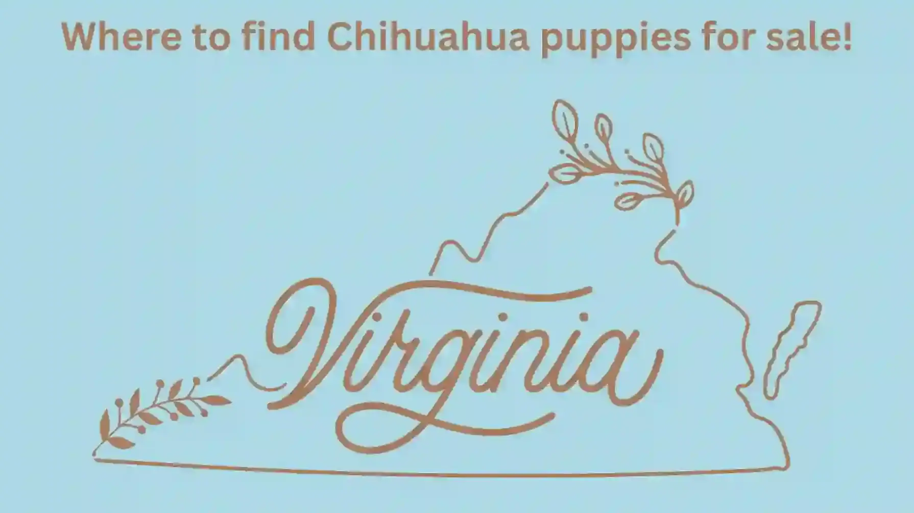 Virginia Map