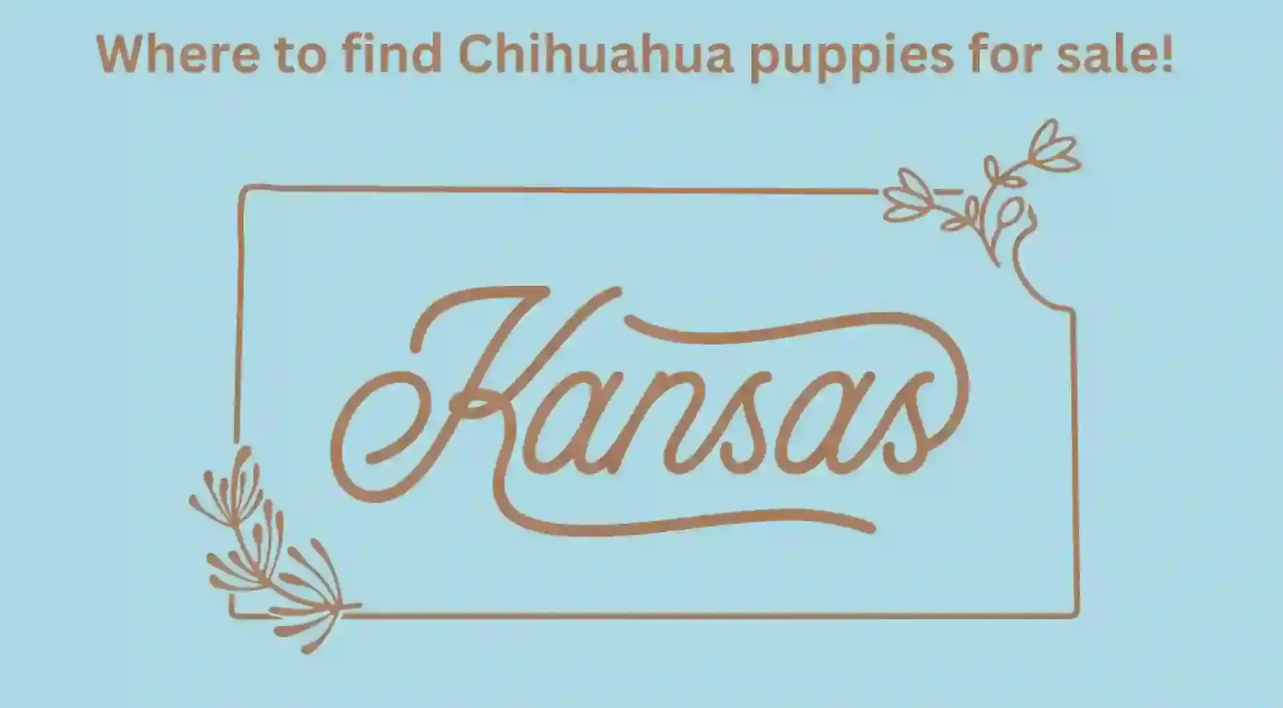 Kansas Map