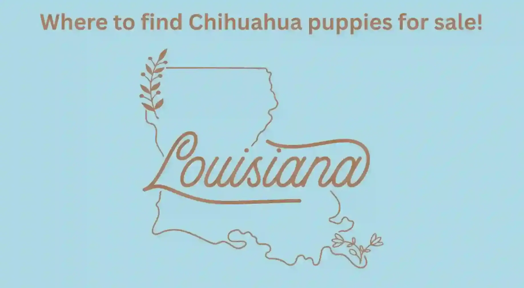 Louisiana Map