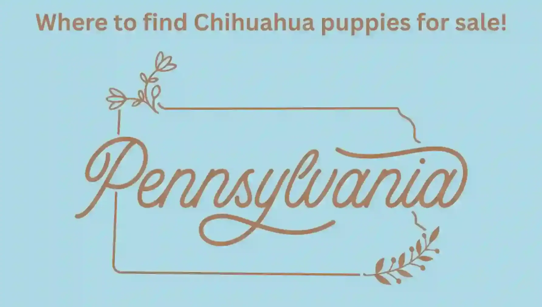 Pennsylvania Map