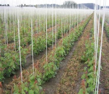 Каркасные опоры