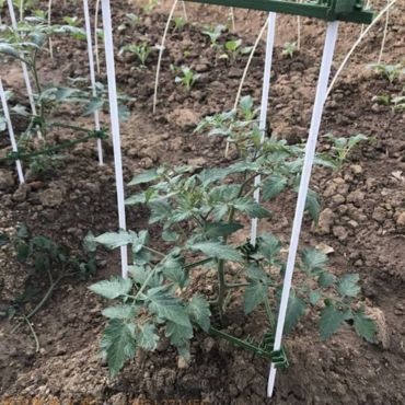 Колья для растений и деревьев