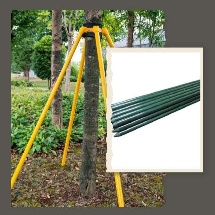 Miracle Gro Fiberglass Tree Stake