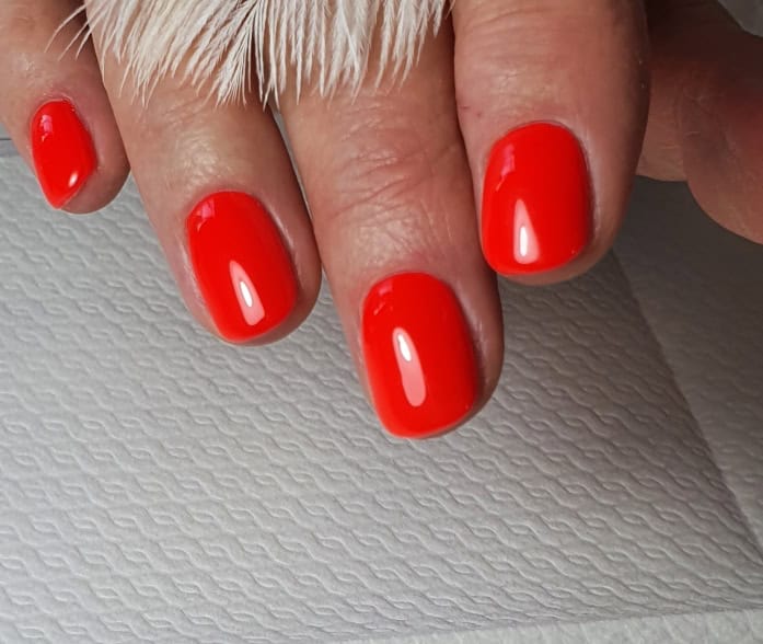 Perfecte Gelpolish start 11 sept 3 avonden