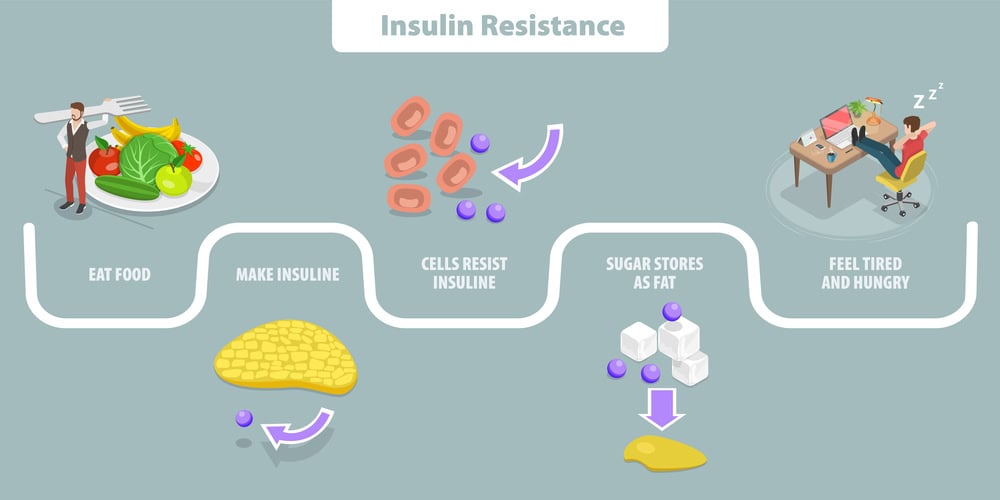 Flowchart illustrating insulin resistance: Eat food, make insulin, cells resist insulin, sugar stores as fat, feel tired and hungry. Includes images of food, cells, sugar cubes, and a tired person.
