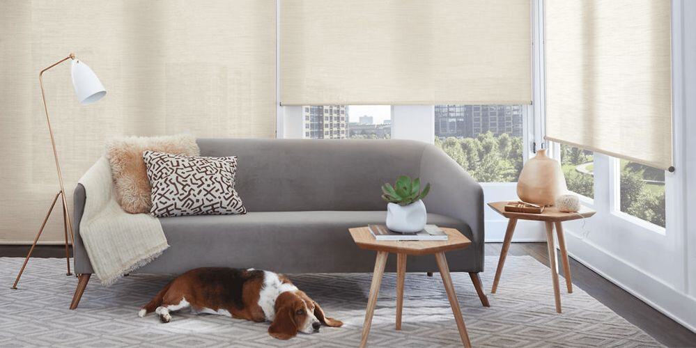 Alustra Woven Textures Roller Shades Fabric: Cirque Color: Beach