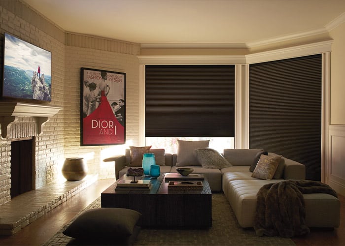 Duette® Shades in a Media Room