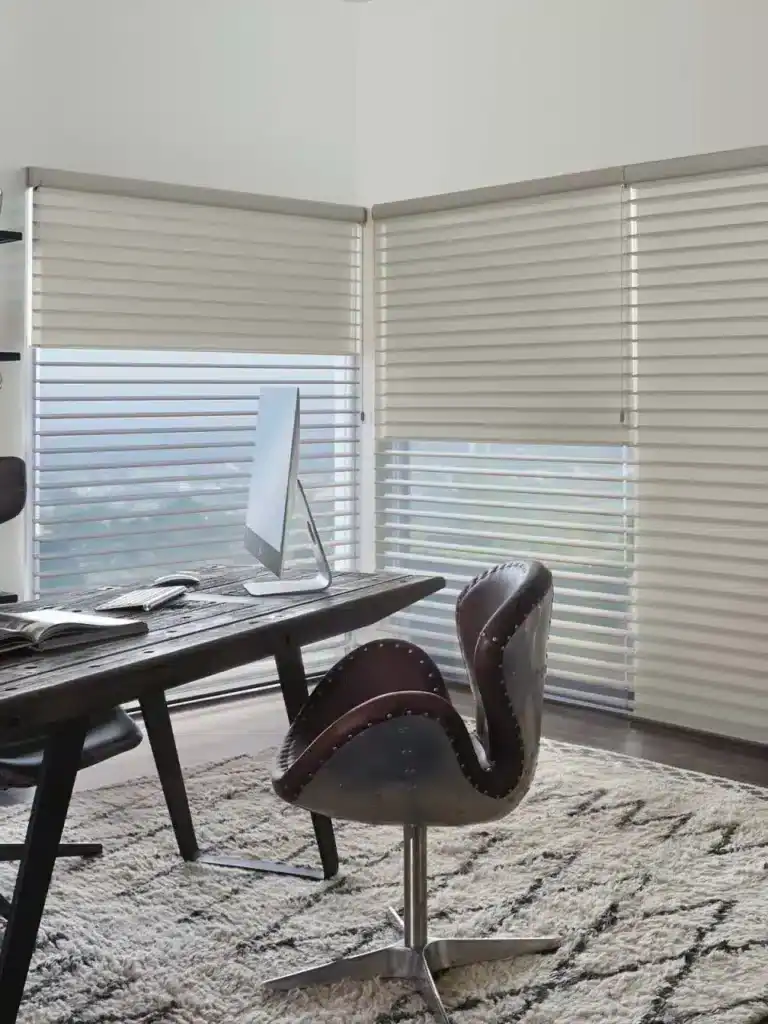 Hunter Douglas Silhouette® Window Shadings