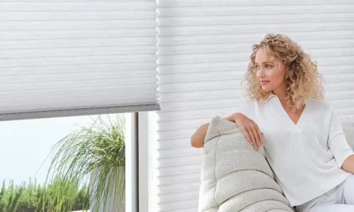Hunter Douglas Duette Honeycomb Shades