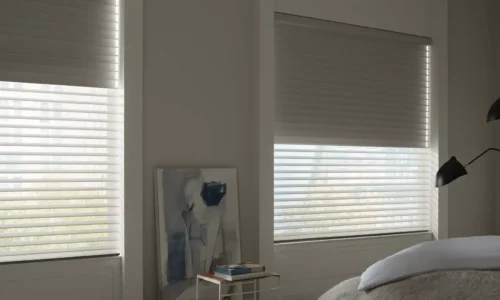 Silhouette Duolite Shades with PowerView Automation