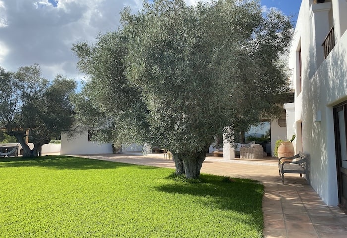 Luxury Rehab Istana Ibiza 1
