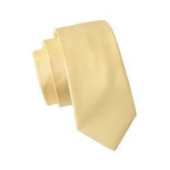 Luxury Yellow Silk Tie Set