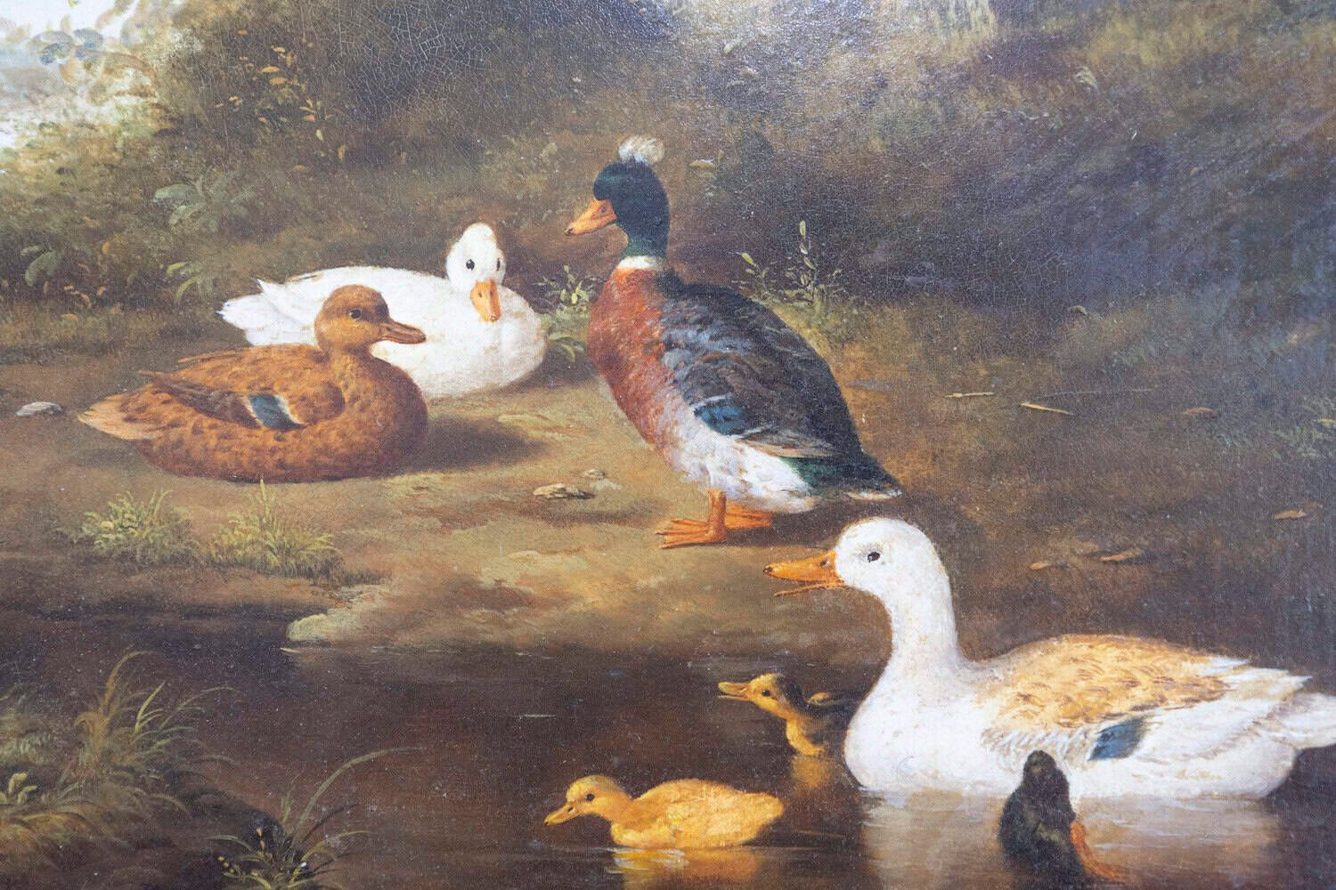 French 1850s Oil on Panel Baryard Painting with Ducks and Vibrant Colors - JAA