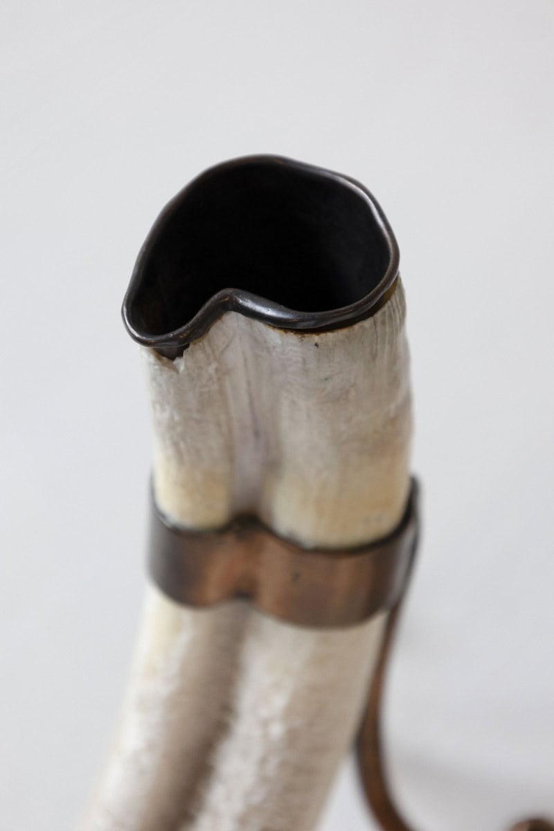 Rustic Pair of 19th Century Game Animal Horns Mounted on Scrolling Metal Stands - JAA