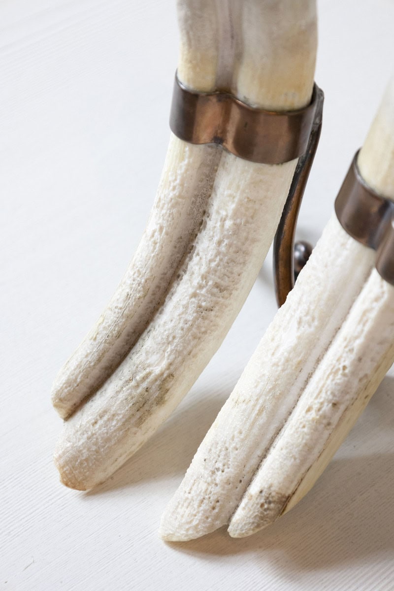 Rustic Pair of 19th Century Game Animal Horns Mounted on Scrolling Metal Stands - JAA