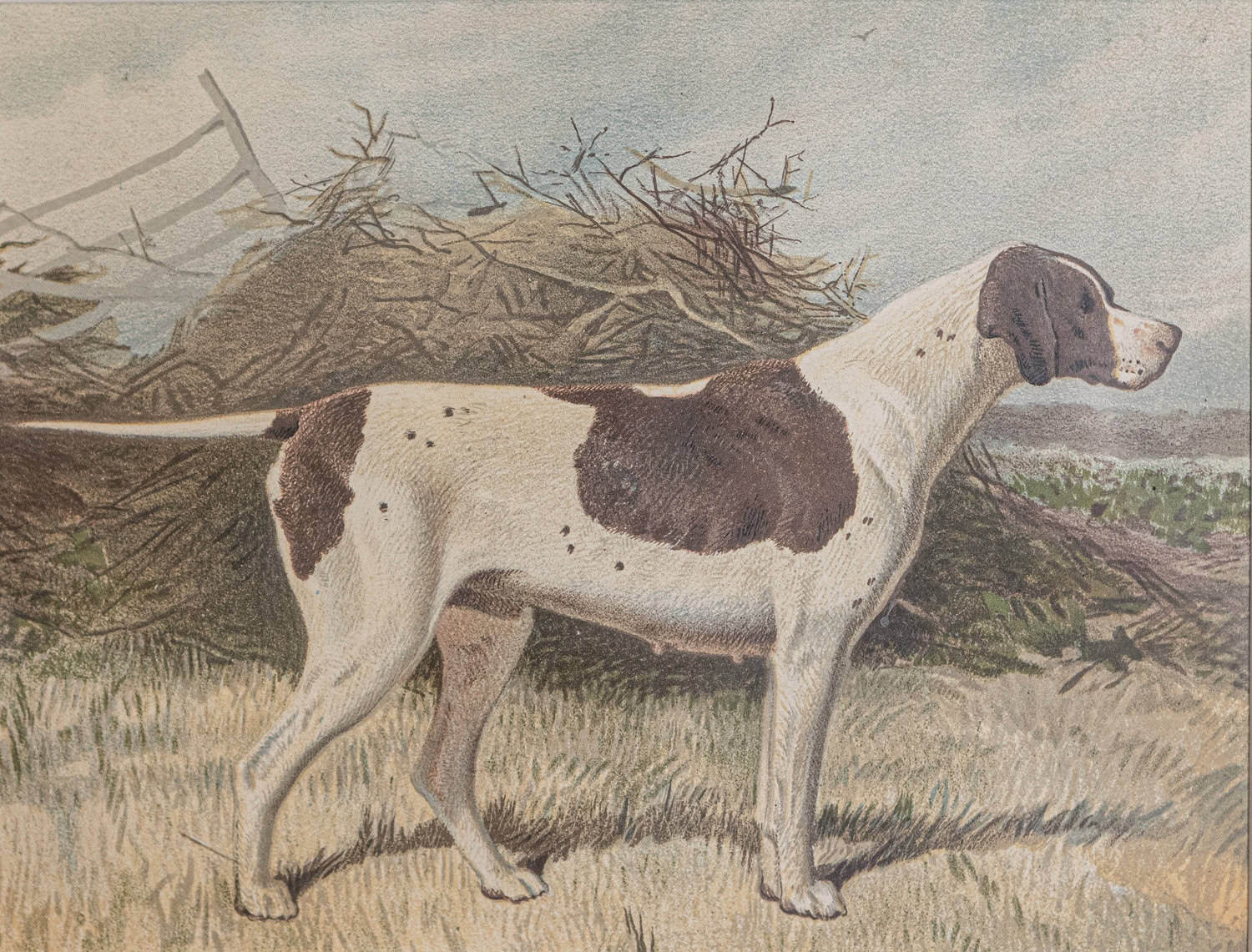 Cassell, Petter, Galpin & Co Chromolithograph Dog Prints in Black Frames - JAA