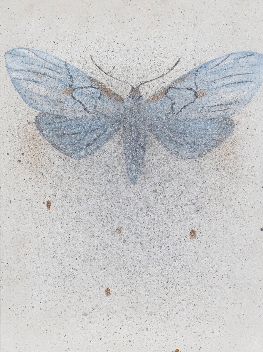 Butterfly painting by May-Britt Jørgensen - JAA