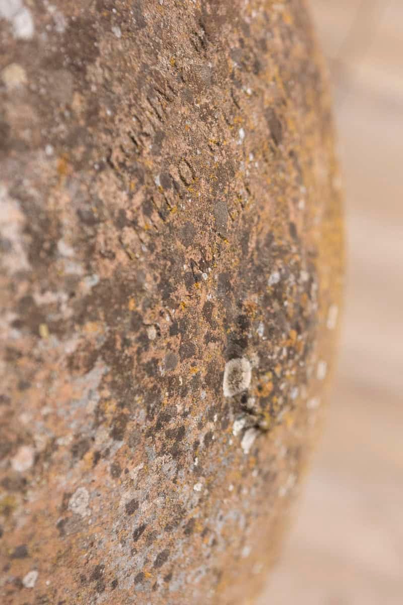 Large Italian 19th Century Planter with Lateral Handles and Generous Lines - JAA