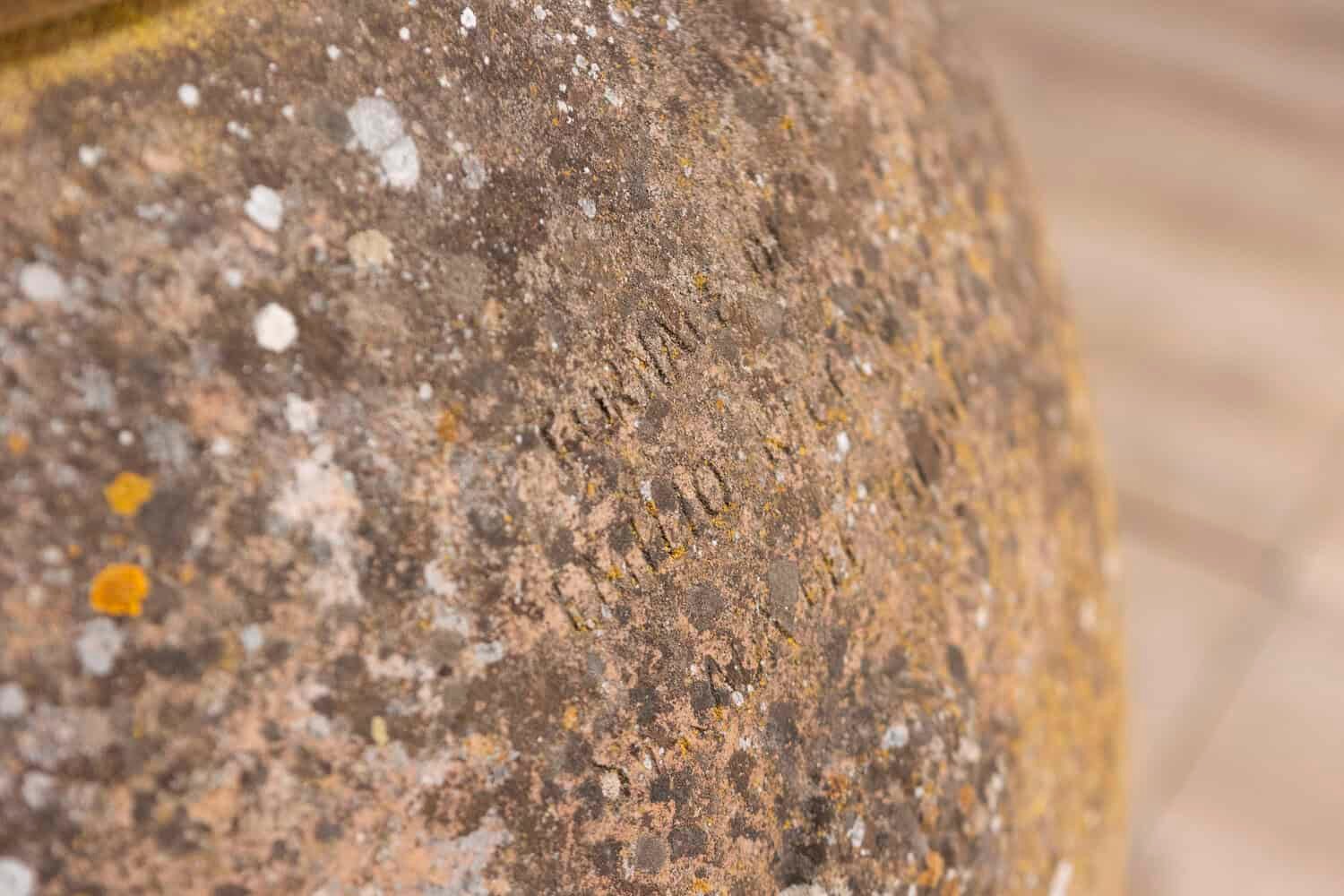 Large Italian 19th Century Planter with Lateral Handles and Generous Lines - JAA