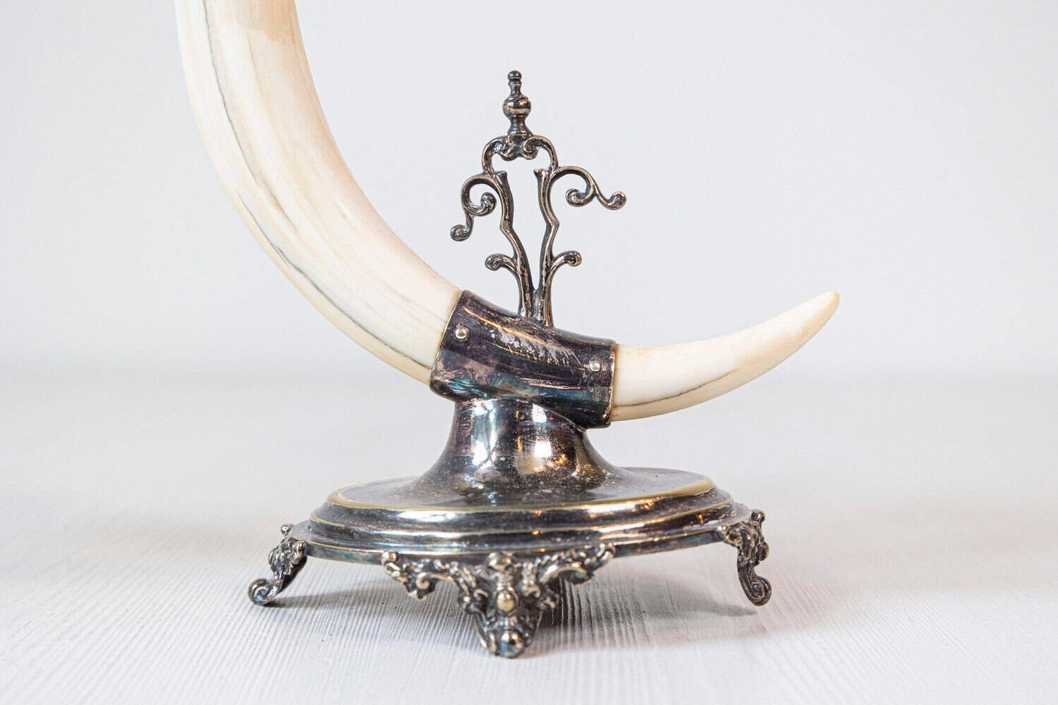 English Victorian Rodgers & Sons 19th Century Game Animal Horns on Silver Mounts - JAA