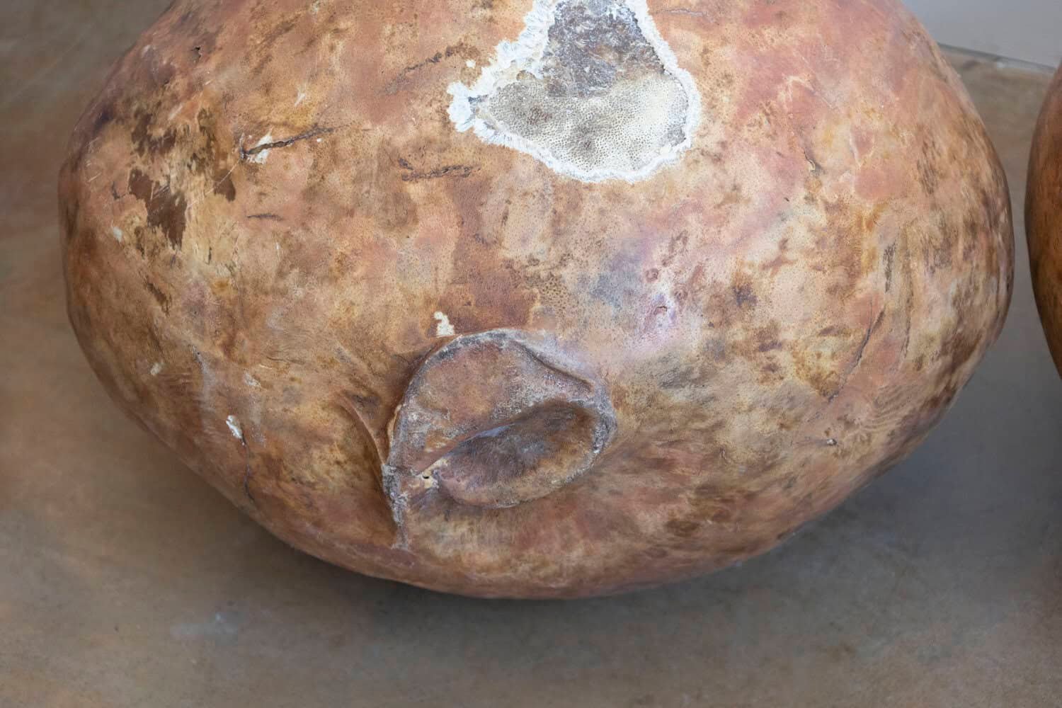 Large Spanish Papier-Mâché Olive Oil Jar with Aged Patina, circa 1830 - JAA